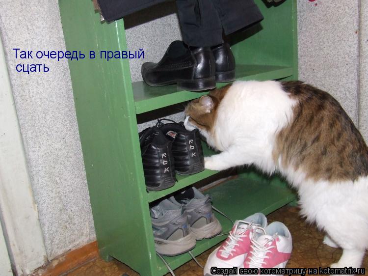 Так очередь в правый сцать... Котоматрица: Так очередь в правый сцать