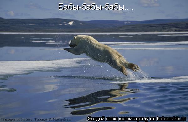 Бабы-бабы-бабы....... Котоматрица: Бабы-бабы-бабы....