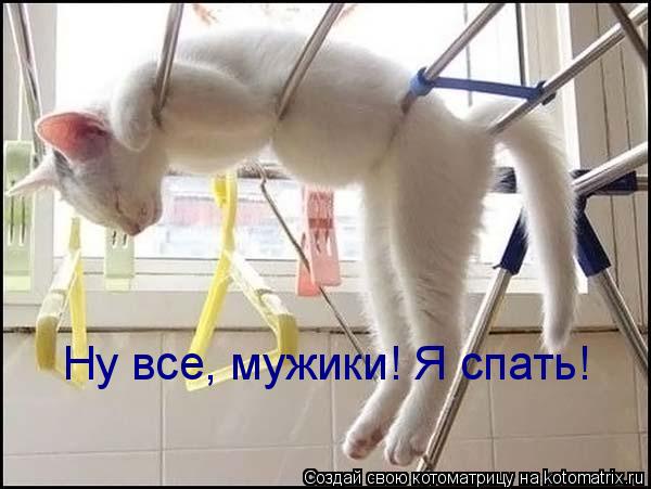 Котоматрица: Ну все, мужики! Я спать!