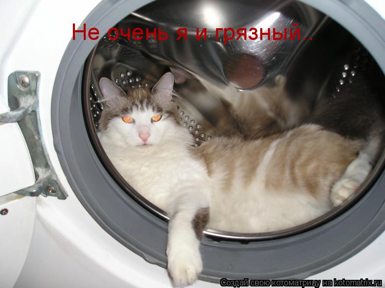 Не очень я и грязный..... Котоматрица: Не очень я и грязный..