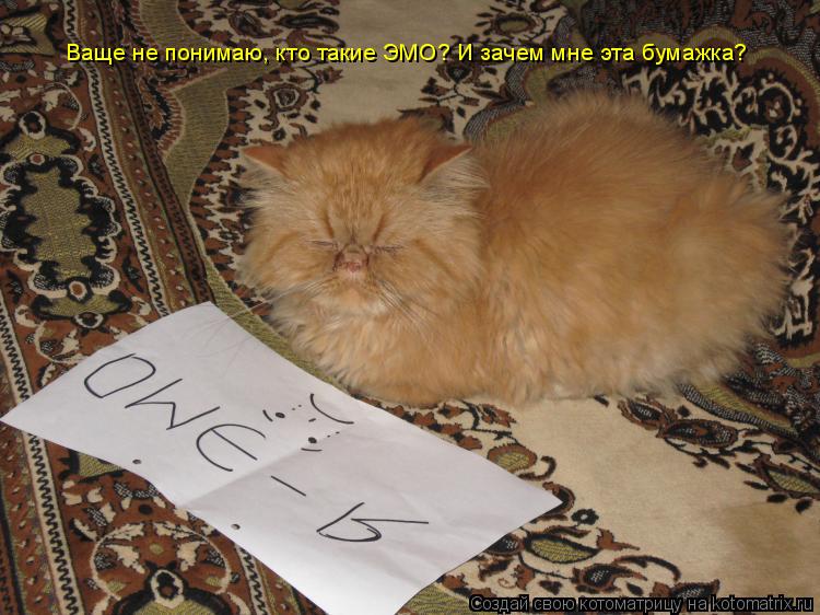 Котоматрица: Ваще не понимаю, кто такие ЭМО? И зачем мне эта бумажка?
