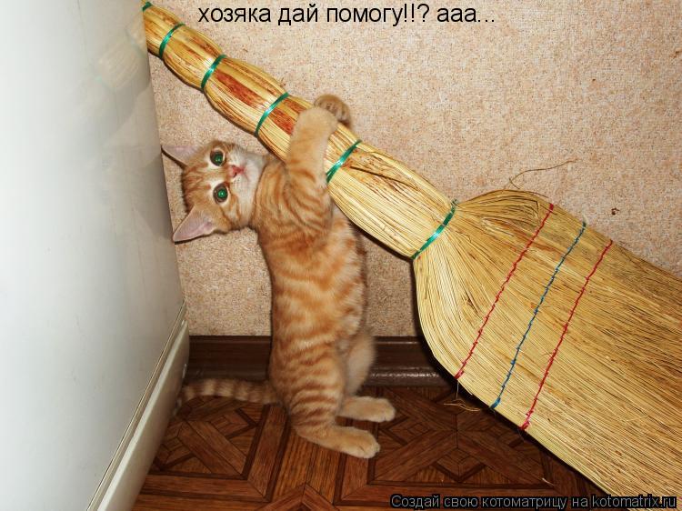 Котоматрица: хозяка дай помогу!!? ааа...