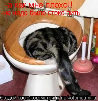 -а как мне плохо!! -не надо было стоко пить... Котоматрица: -а как мне плохо!! -не надо было стоко пить