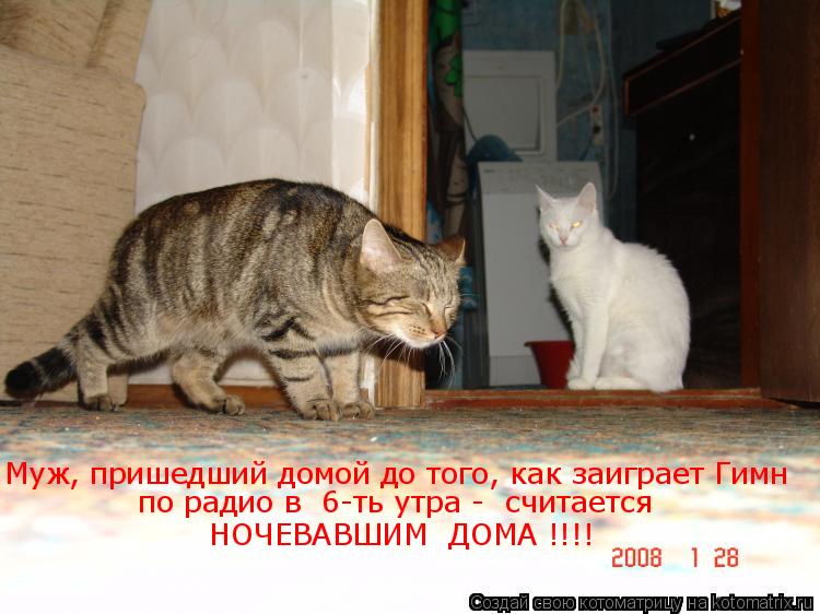 Муж, пришедший домой до того, как заиграет Гимн по радио в 6-ть утра - считается НОЧЕВАВШИМ Д... Котоматрица: Муж, пришедший домой до того, как заиграет Гимн по радио в 6-ть утра - считается НОЧЕВАВШИМ ДОМА !!!!