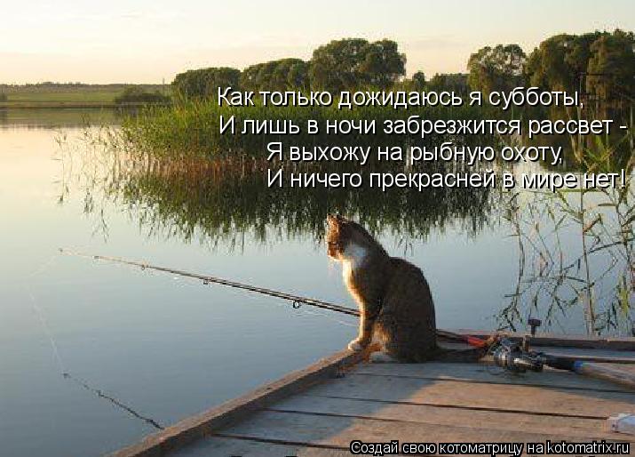Котоматрица: И лишь в ночи забрезжится рассвет - Как только дожидаюсь я субботы, И ничего прекрасней в мире нет! Я выхожу на рыбную охоту,