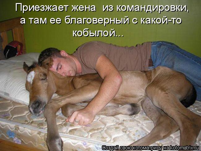 Котоматрица: а там ее благоверный с какой-то Приезжает жена  из командировки, кобылой...