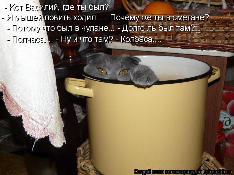 Котоматрица: - Kот Василий, где ты был?  - Я мышей ловить ходил... - Почему же ты в сметане?  - Потому что был в чулане... - Долго ль был там?  - Полчаса.... - Ну 