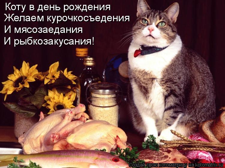 Коту в день рождения Желаем курочкосъедения И мясозаедания И рыбкозакусания!... Котоматрица: Коту в день рождения Желаем курочкосъедения И мясозаедания И рыбкозакусания!