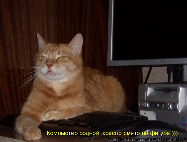 Компьютер родной, кресло смято по фигуре!))) Компьютер родной, кресло смято по фигуре!))) Компьютер р... Котоматрица: Компьютер родной, кресло смято по фигуре!))) Компьютер родной, кресло смято по фигуре!))) Компьютер родной, кресло смято по фигуре!)))