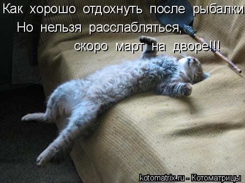 Как хорошо отдохнуть после рыбалки! Но нельзя расслабляться, скоро март на дворе!!!... Котоматрица: Как хорошо отдохнуть после рыбалки! Но нельзя расслабляться, скоро март на дворе!!!