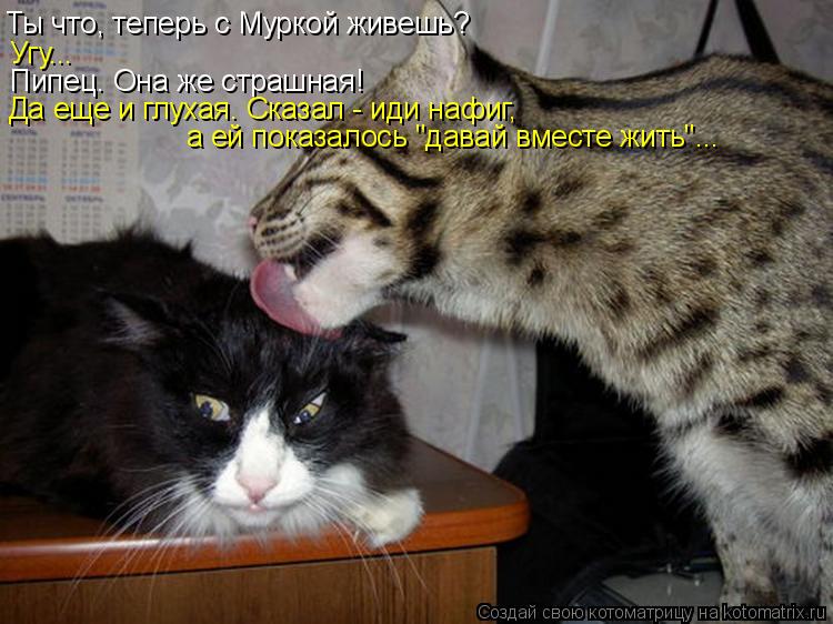Ты что, теперь с Муркой живешь? Угу... Пипец. Она же страшная! Да еще и глухая. Сказал - иди нафиг, ... Котоматрица: Ты что, теперь с Муркой живешь? Угу... Пипец. Она же страшная! Да еще и глухая. Сказал - иди нафиг, а ей показалось "давай вместе жить"...