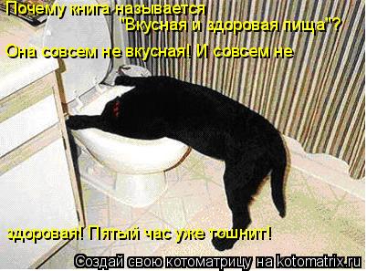 Котоматрица: Почему книга называется "Вкусная и здоровая пища"? Она совсем не вкусная! И совсем не  здоровая! Пятый час уже тошнит!