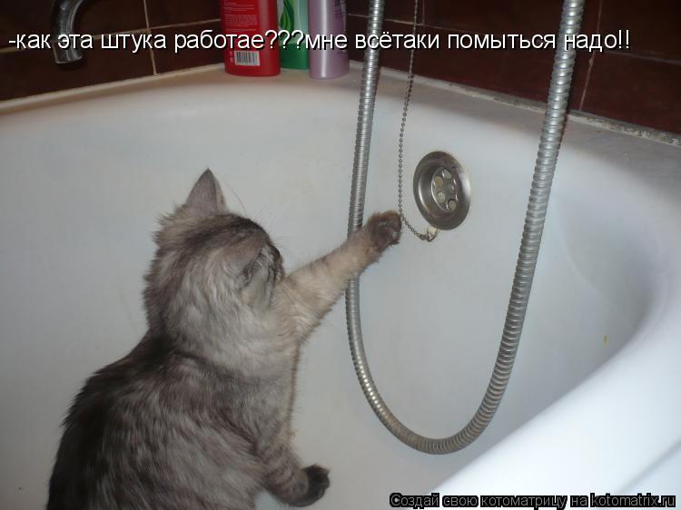 Котоматрица: -как эта штука работае???мне всётаки помыться надо!!