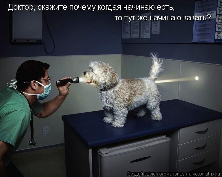 Котоматрица: Доктор, скажите почему когдая начинаю есть, то тут же начинаю какать?
