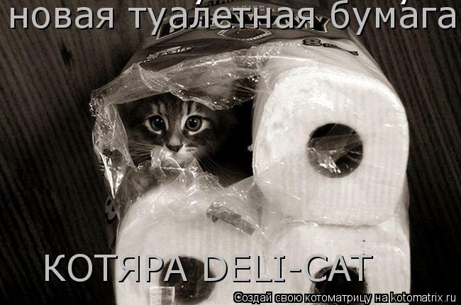 Котоматрица: новая туалетная бумага "КОТЯРА DELUXE" новая туалетная бумага  КОТЯРА DELI-CAT