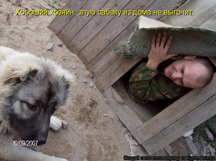 Хороший хозяин, злую сабаку из дома не выгонит.... Котоматрица: Хороший хозяин, злую сабаку из дома не выгонит.