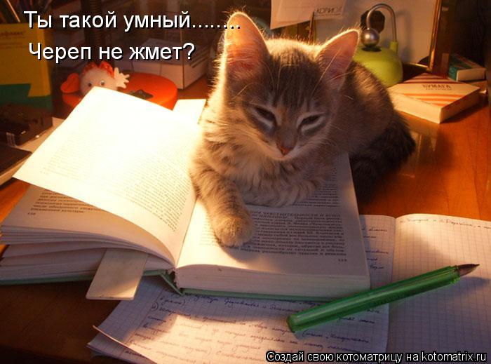 Котоматрица: Ты такой умный........ Череп не жмет?