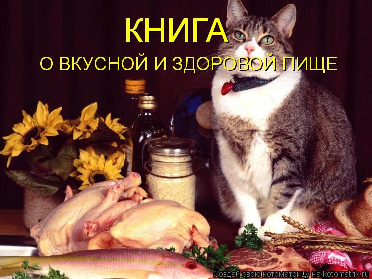 Котоматрица: О ВКУСНОЙ И ЗДОРОВОЙ ПИЩЕ КНИГА