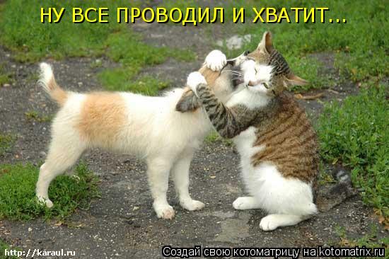Котоматрица: НУ ВСЕ ПРОВОДИЛ И ХВАТИТ...