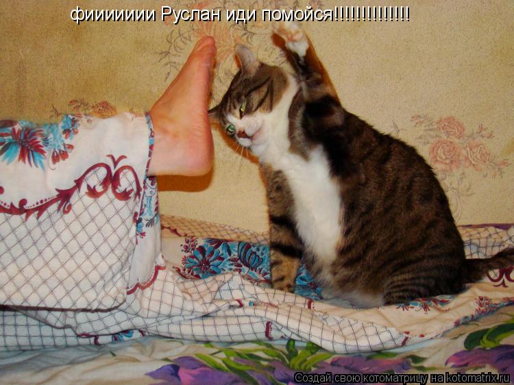 Котоматрица: фиииииии Руслан иди помойся!!!!!!!!!!!!!!