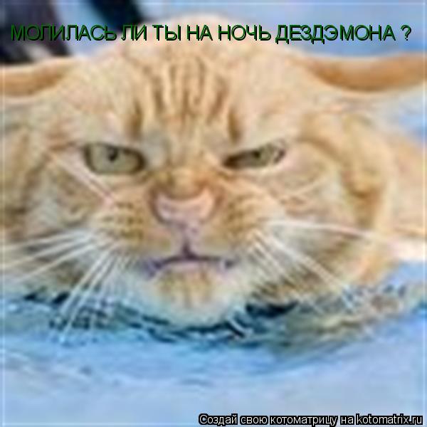 МОЛИЛАСЬ ЛИ ТЫ НА НОЧЬ ДЕЗДЭМОНА ?... Котоматрица: МОЛИЛАСЬ ЛИ ТЫ НА НОЧЬ ДЕЗДЭМОНА ?