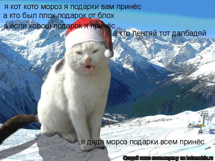 Котоматрица: я кот кото мороз я подарки вам принёс а кто был плох подарок от блох а если хорош подарок я принёс  а кто лентяй тот далбадяй я дядя мороз под