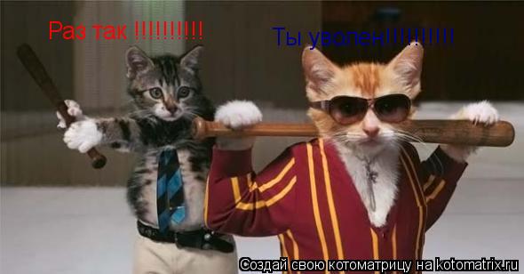 Ты уволен!!!!!!!!!! Раз так !!!!!!!!!!... Котоматрица: Ты уволен!!!!!!!!!! Раз так !!!!!!!!!!