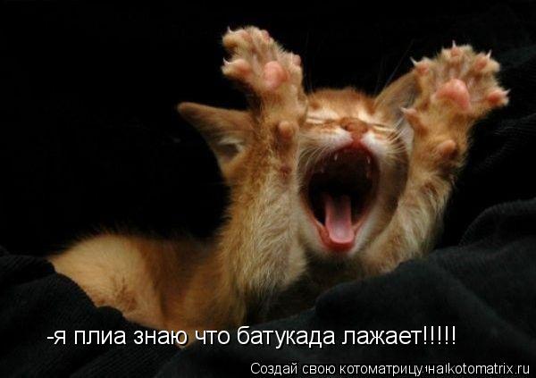 -я плиа знаю что батукада лажает!!!!!... Котоматрица: -я плиа знаю что батукада лажает!!!!!