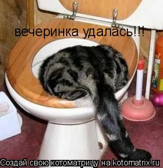 Котоматрица: вечеринка удалась!!!