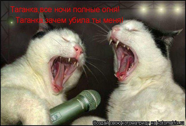 Котоматрица: Таганка,все ночи полные огня! Таганка,зачем убила ты меня!