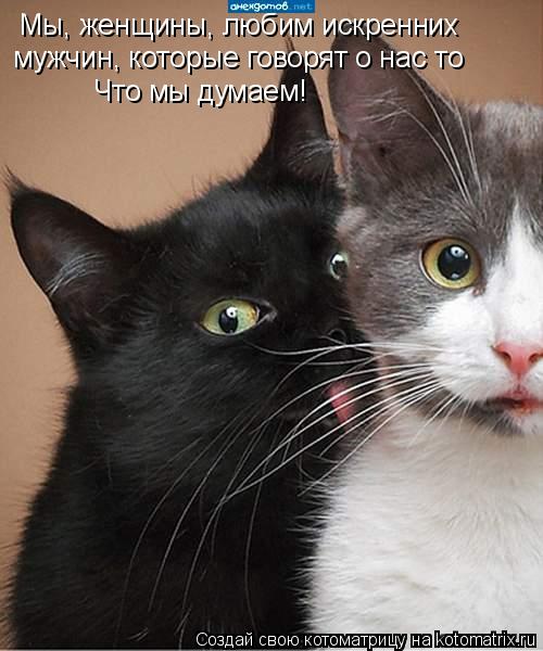 Котоматрица: Мы, женщины, любим искренних  мужчин, которые говорят о нас то Что мы думаем!