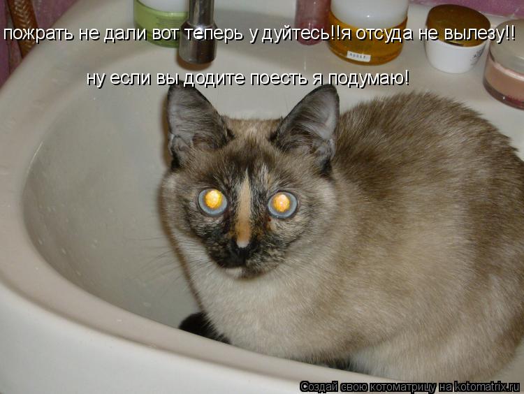 Котоматрица: пожрать не дали вот теперь у дуйтесь!!я отсуда не вылезу!! ну если вы додите поесть я подумаю!