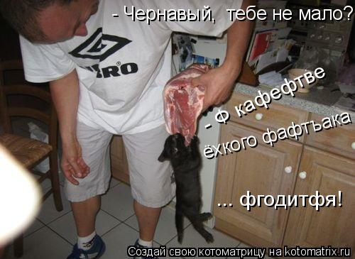 Котоматрица: - Ф кафефтве ёхкого фафтъака  ... фгодитфя! - Чернавый,  тебе не мало?