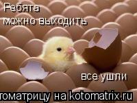 Ребята все ушли можно выходить... Котоматрица: Ребята все ушли можно выходить