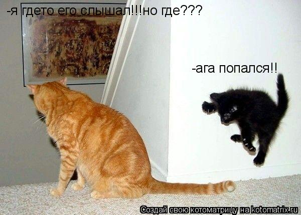 Котоматрица: -я гдето его слышал!!!но где??? -ага попался!!