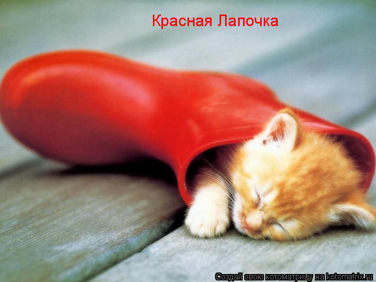 Котоматрица: Красная Лапочка
