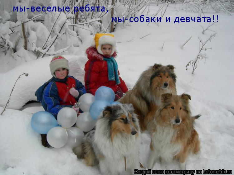 мы-веселые ребята, мы-собаки и девчата!!... Котоматрица: мы-веселые ребята, мы-собаки и девчата!!