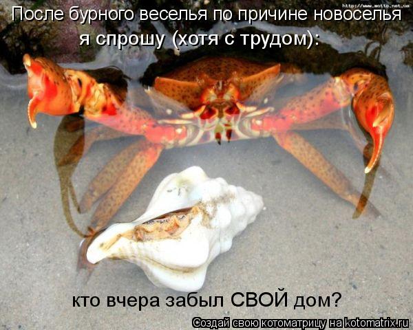После бурного веселья по причине новоселья я спрошу (хотя с трудом): кто вчера забыл СВОЙ дом?... Котоматрица: После бурного веселья по причине новоселья я спрошу (хотя с трудом): кто вчера забыл СВОЙ дом?