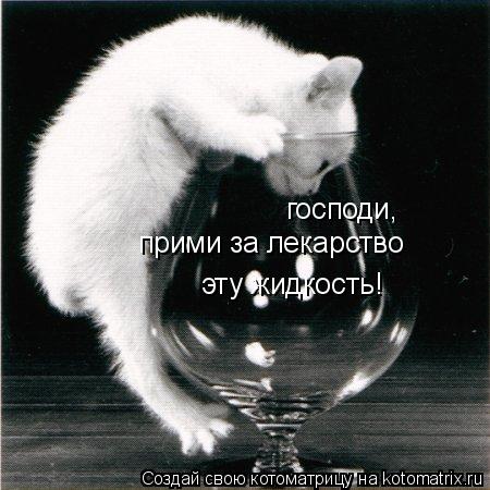 Котоматрица: господи, прими за лекарство эту жидкость!