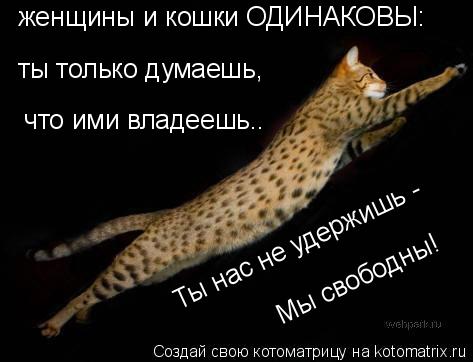 женщины и кошки ОДИНАКОВЫ: ты только думаешь, что ими владеешь.. Ты нас не удержишь - Мы свободны!... Котоматрица: женщины и кошки ОДИНАКОВЫ: ты только думаешь, что ими владеешь.. Ты нас не удержишь - Мы свободны!