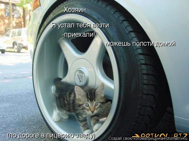 Котоматрица: Хозяин Я устал тебя везти  -приехали!! можешь полсти домой (по дороге в пицерию заеду)