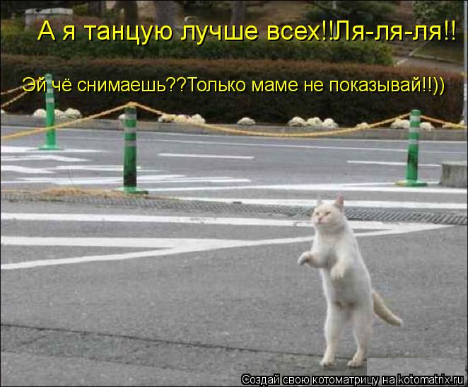 Котоматрица: А я танцую лучше всех!!Ля-ля-ля!! Эй чё снимаешь??Только маме не показывай!!))