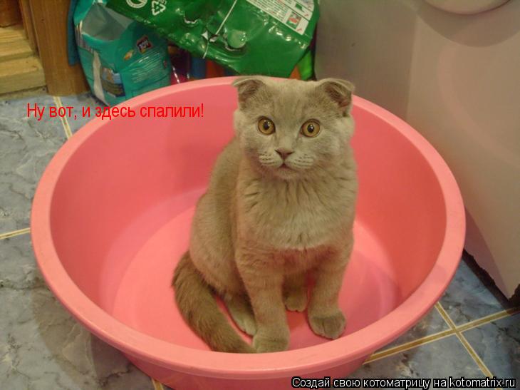 Котоматрица: Ну вот, и здесь спалили!