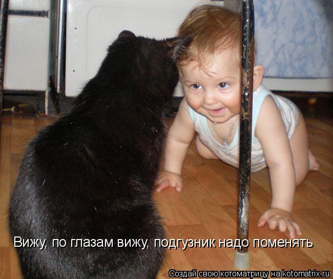 Котоматрица: Вижу, по глазам вижу, подгузник надо поменять