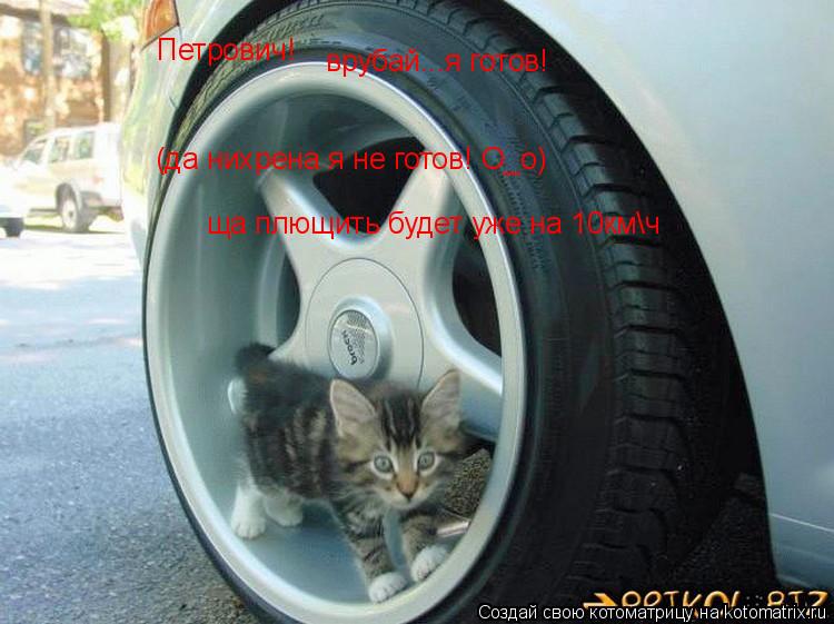 Котоматрица: Петрович! врубай...я готов! (да нихрена я не готов! О_о) ща плющить будет уже на 10кмч