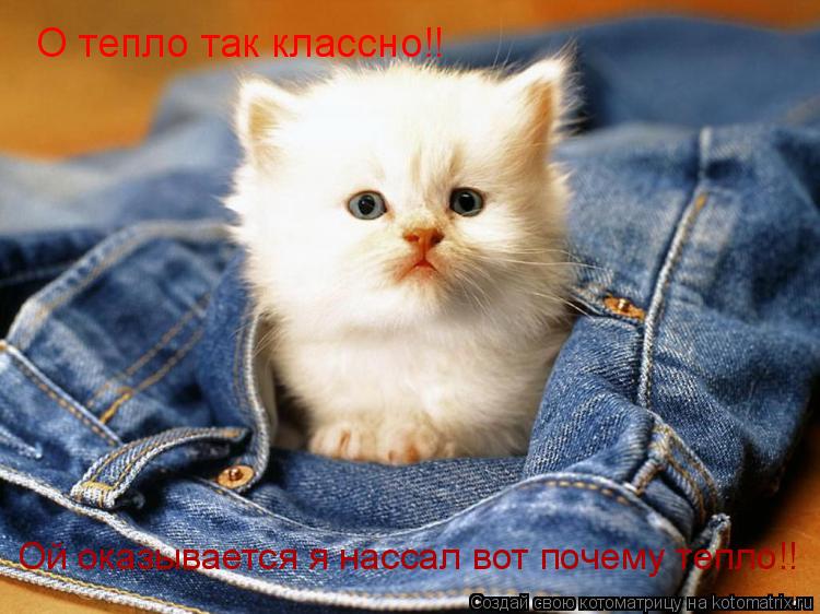 Котоматрица: О тепло так классно!! Ой оказывается я нассал вот почему тепло!!