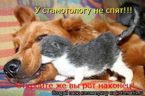 Котоматрица: У стамотологу не спят!!! Откройте же вы рот наконец!