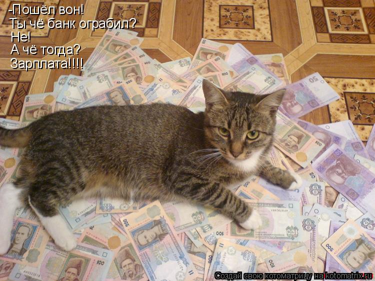 Котоматрица: -Пошёл вон! Ты чё банк ограбил? Не! А чё тогда? Зарплата!!!!