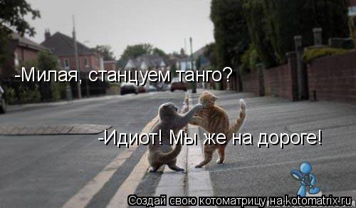 Котоматрица: -Милая, станцуем танго? -Идиот! Мы же на дороге!