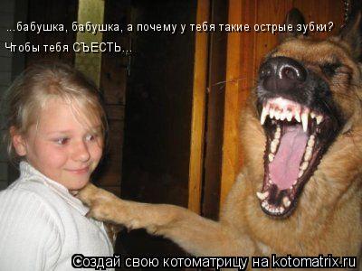 Котоматрица: ...бабушка, бабушка, а почему у тебя такие острые зубки?  Чтобы тебя СЪЕСТЬ...